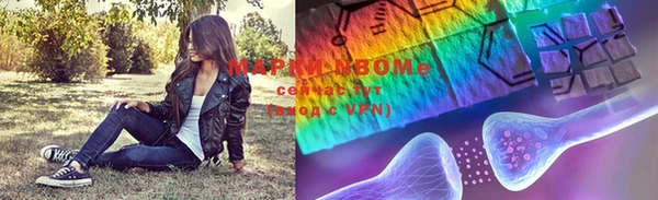 индика Алексеевка